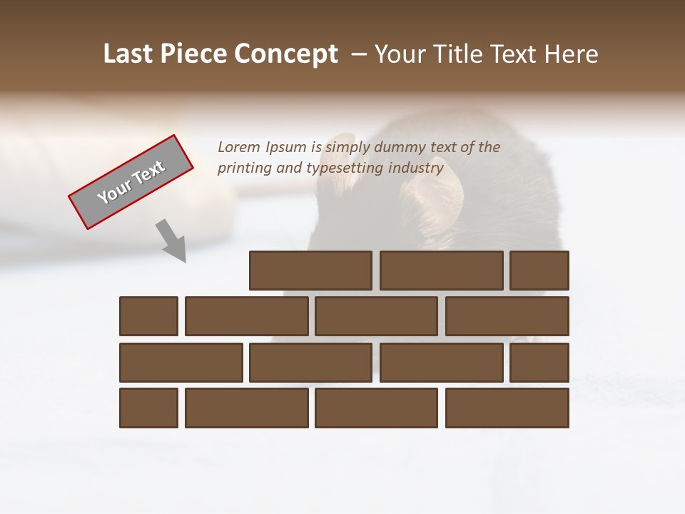 Acoustic Cords Strings PowerPoint Template