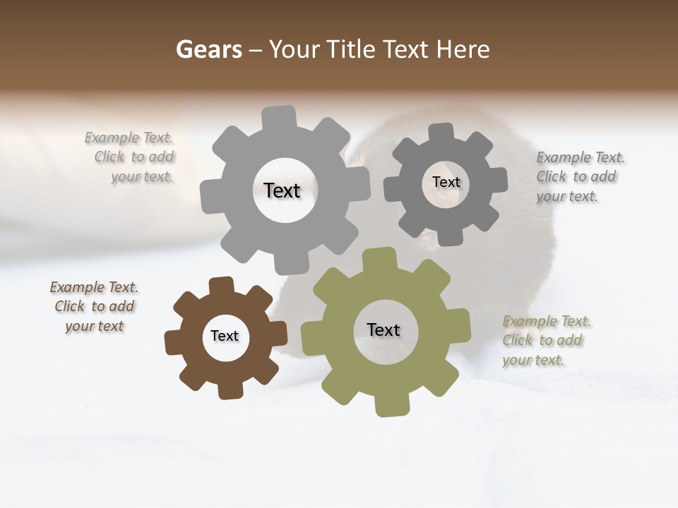 Acoustic Cords Strings PowerPoint Template