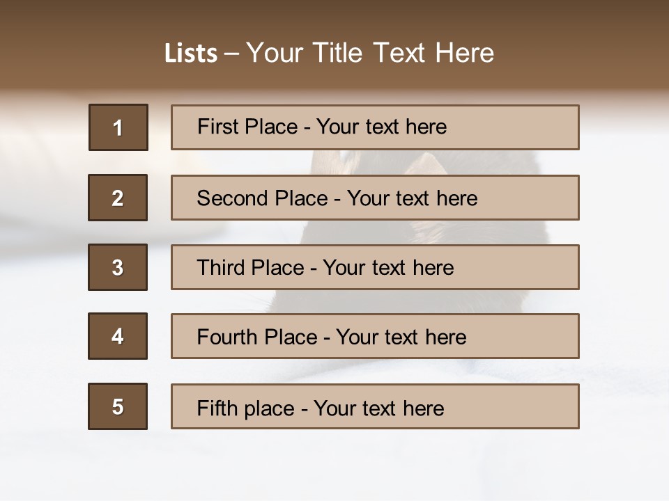 Acoustic Cords Strings PowerPoint Template