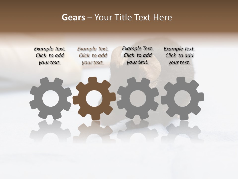 Acoustic Cords Strings PowerPoint Template