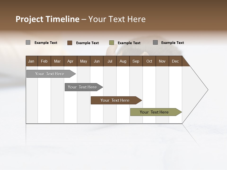 Acoustic Cords Strings PowerPoint Template