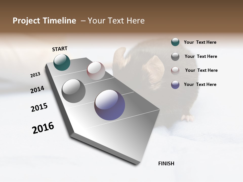 Acoustic Cords Strings PowerPoint Template