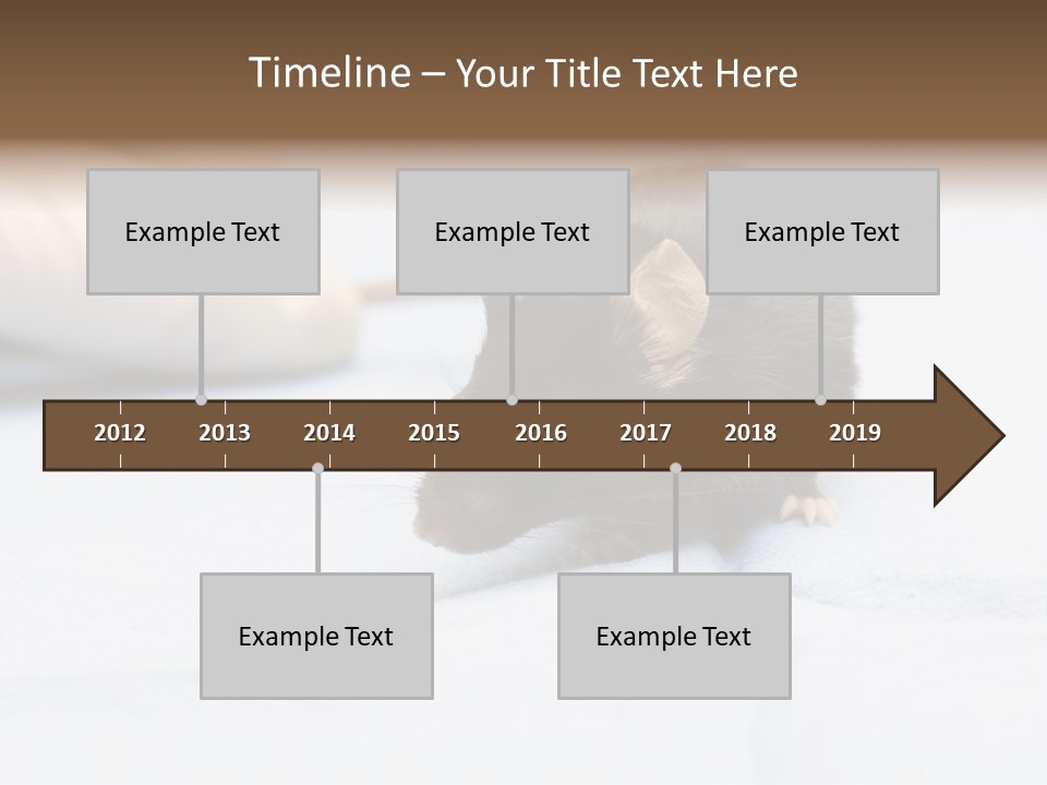 Acoustic Cords Strings PowerPoint Template
