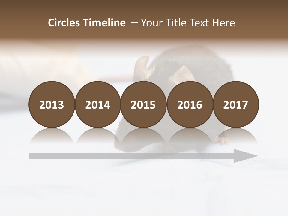 Acoustic Cords Strings PowerPoint Template