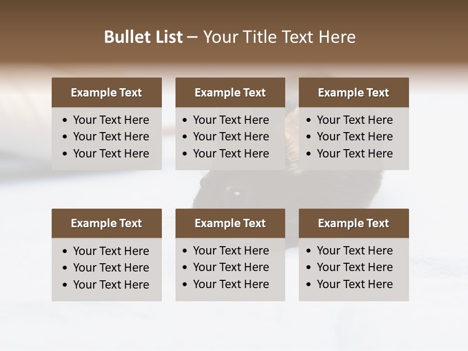 Acoustic Cords Strings PowerPoint Template