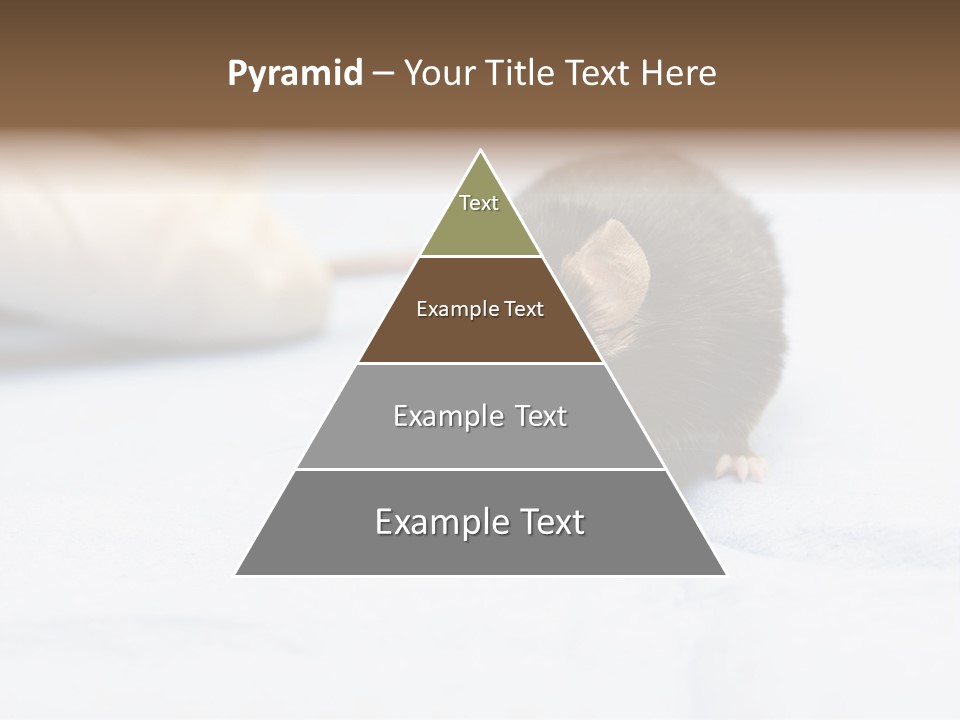 Acoustic Cords Strings PowerPoint Template