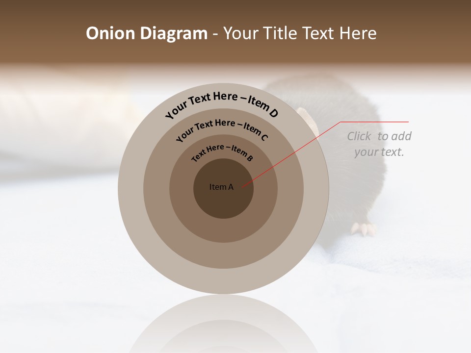 Acoustic Cords Strings PowerPoint Template