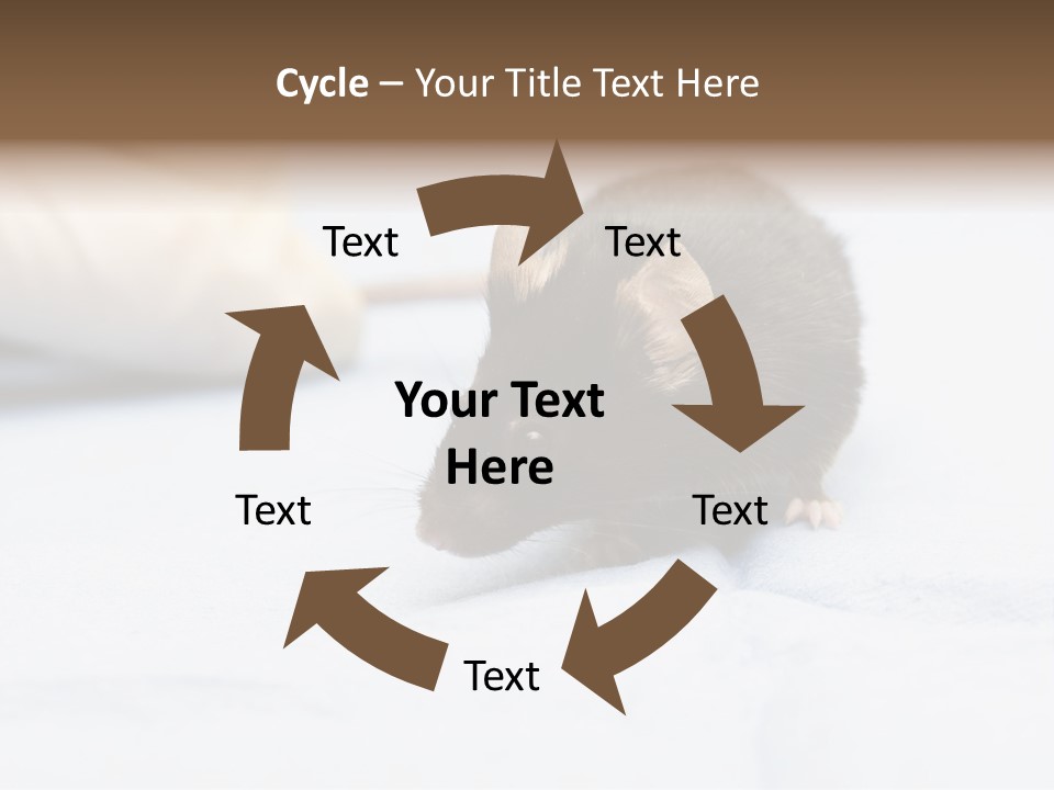 Acoustic Cords Strings PowerPoint Template