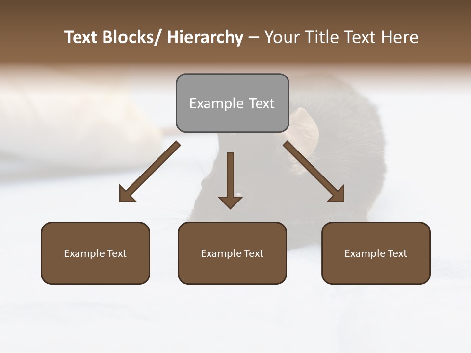 Acoustic Cords Strings PowerPoint Template