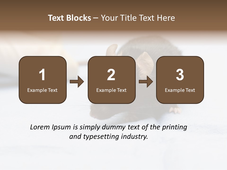 Acoustic Cords Strings PowerPoint Template