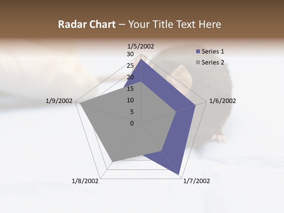 Acoustic Cords Strings PowerPoint Template