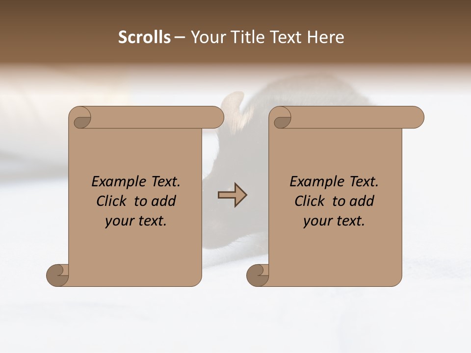 Acoustic Cords Strings PowerPoint Template
