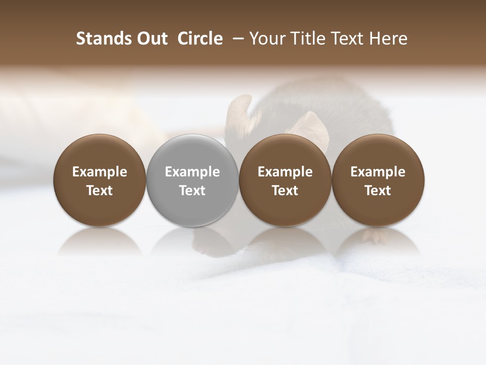 Acoustic Cords Strings PowerPoint Template
