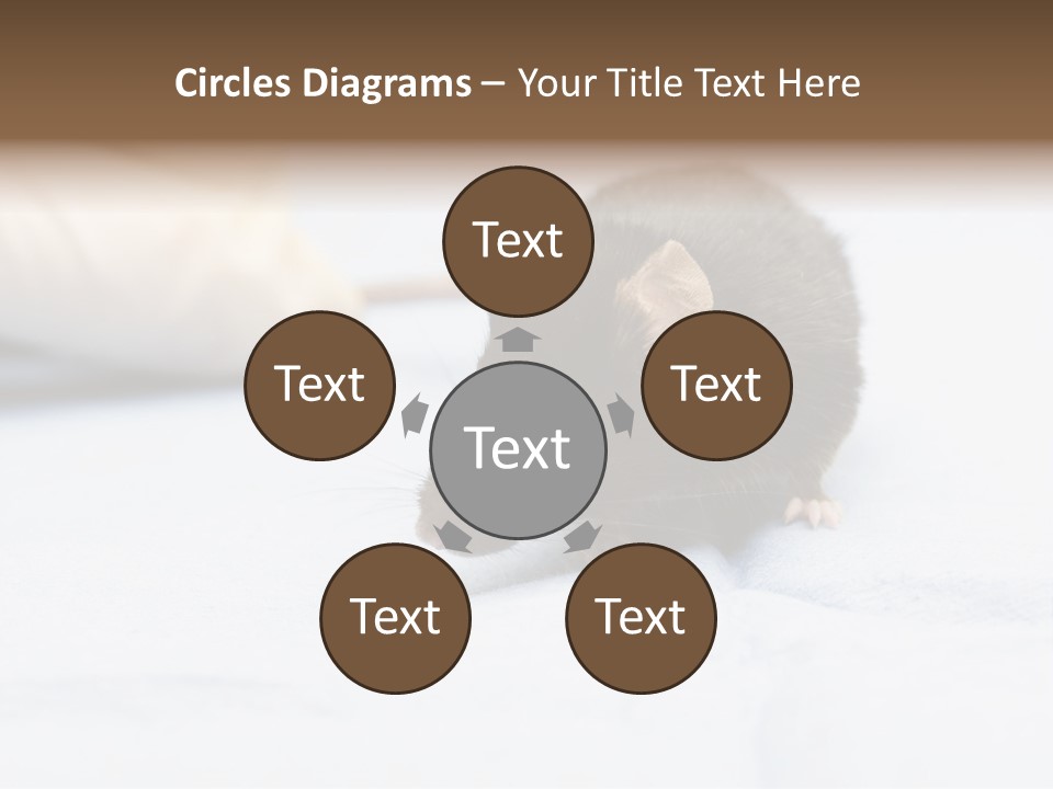 Acoustic Cords Strings PowerPoint Template