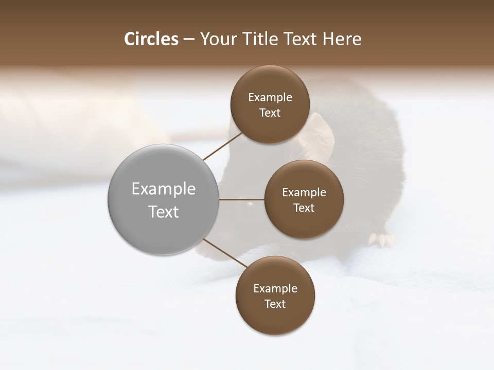 Acoustic Cords Strings PowerPoint Template