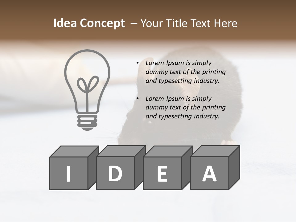 Acoustic Cords Strings PowerPoint Template