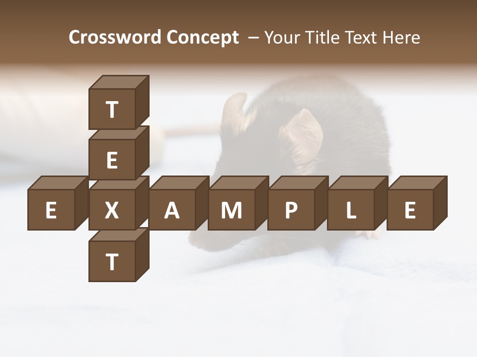 Acoustic Cords Strings PowerPoint Template