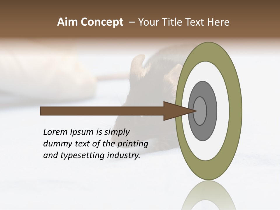 Acoustic Cords Strings PowerPoint Template