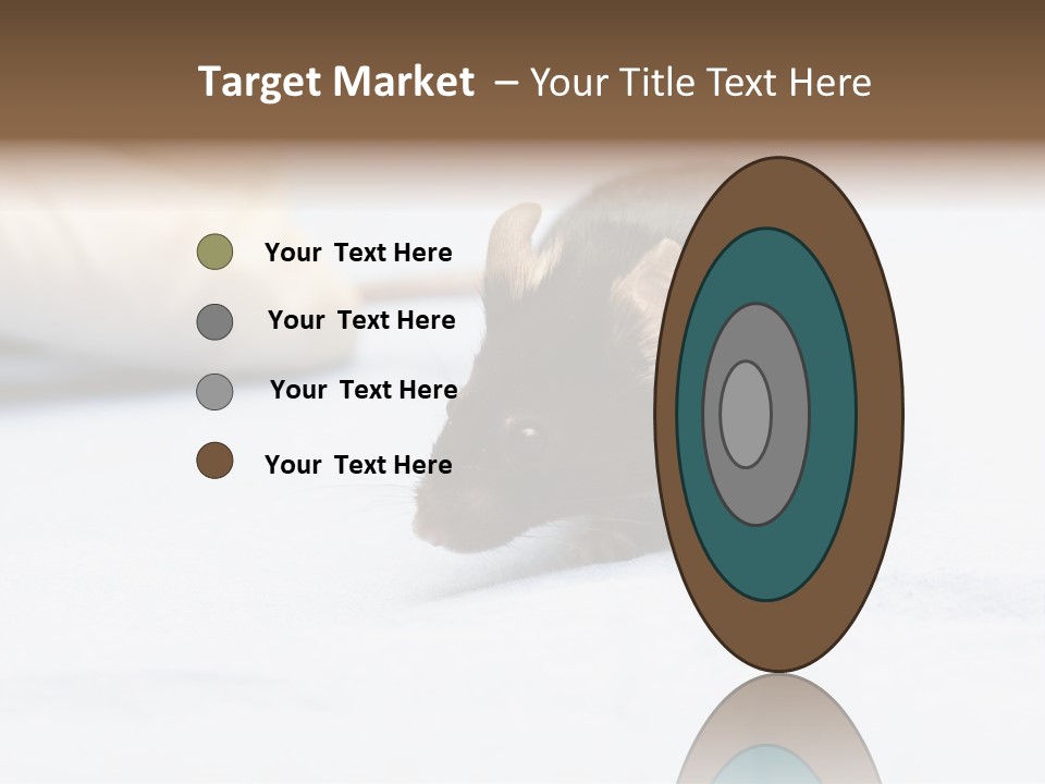 Acoustic Cords Strings PowerPoint Template