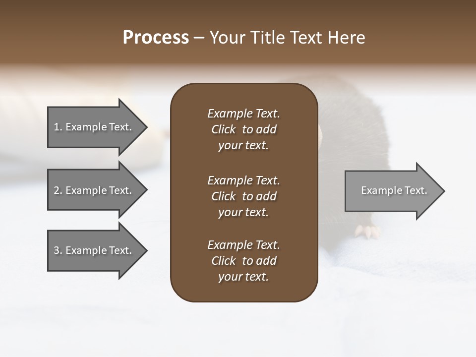 Acoustic Cords Strings PowerPoint Template