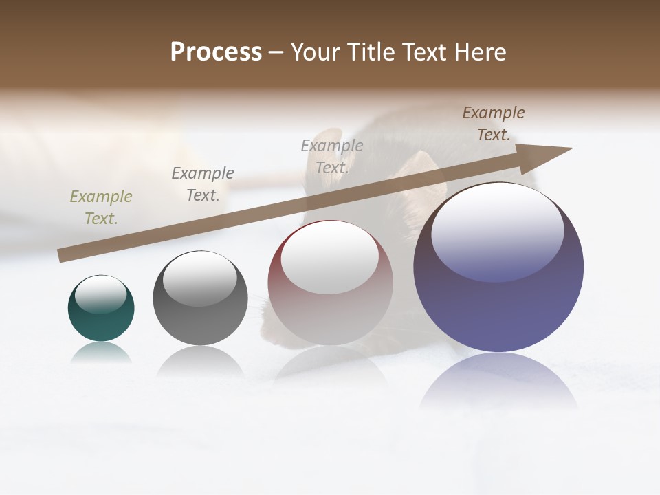 Acoustic Cords Strings PowerPoint Template