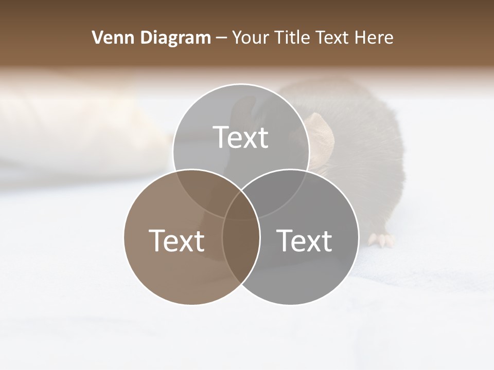 Acoustic Cords Strings PowerPoint Template