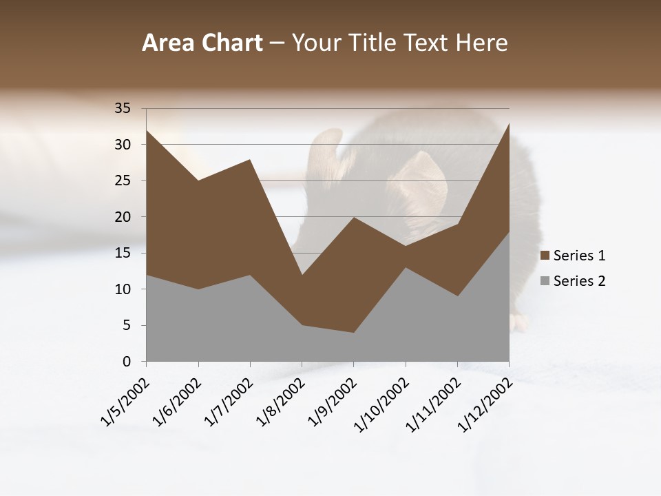Acoustic Cords Strings PowerPoint Template