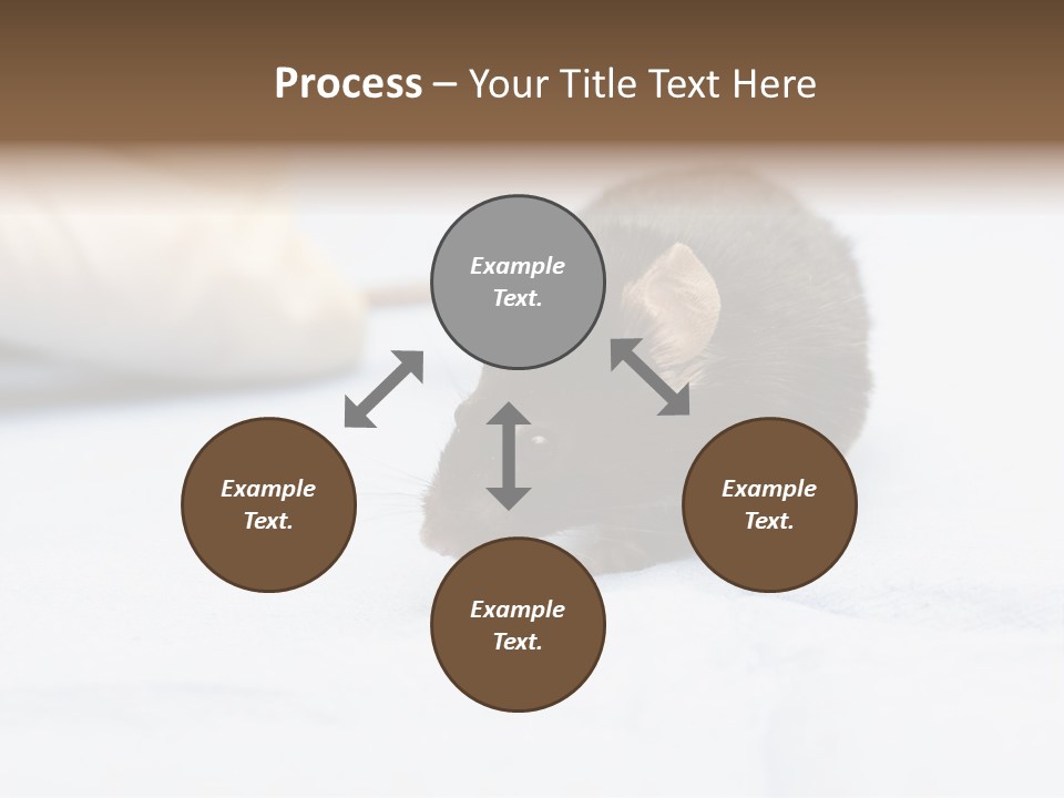 Acoustic Cords Strings PowerPoint Template