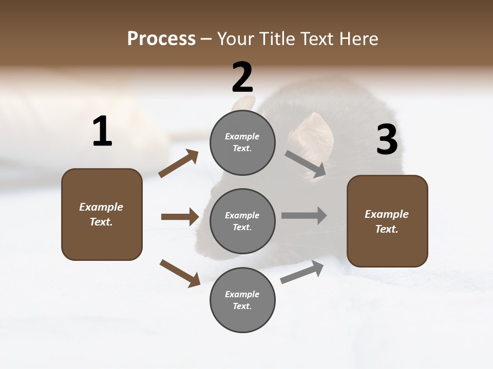 Acoustic Cords Strings PowerPoint Template