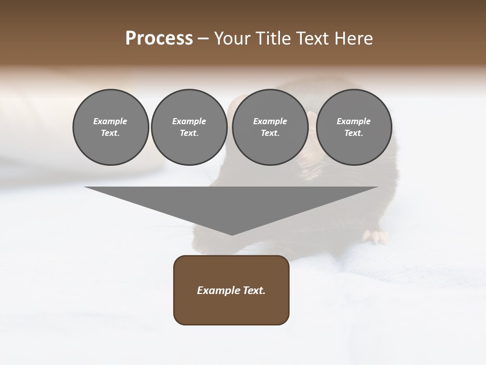 Acoustic Cords Strings PowerPoint Template