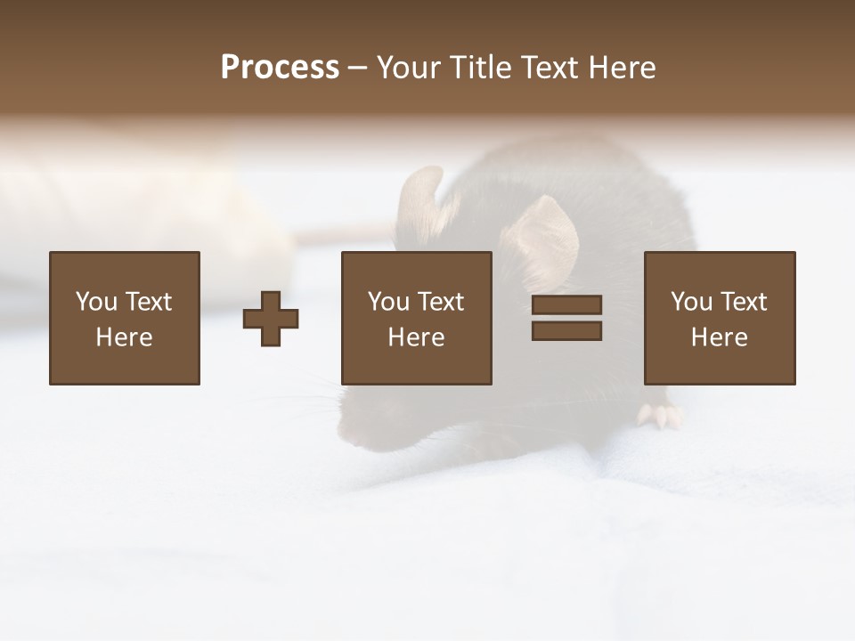 Acoustic Cords Strings PowerPoint Template