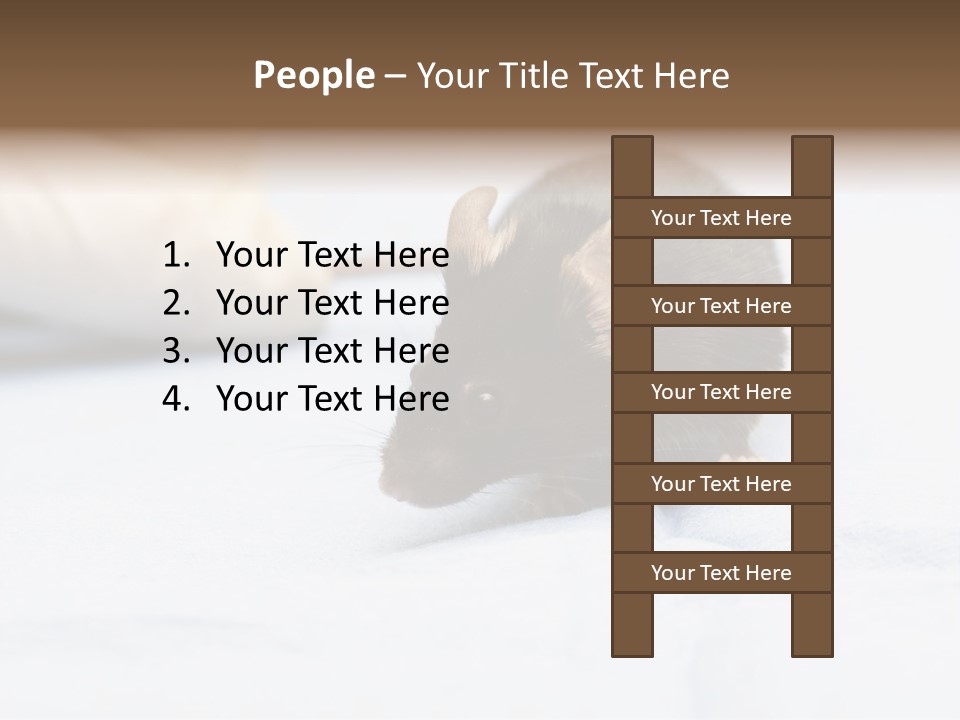 Acoustic Cords Strings PowerPoint Template