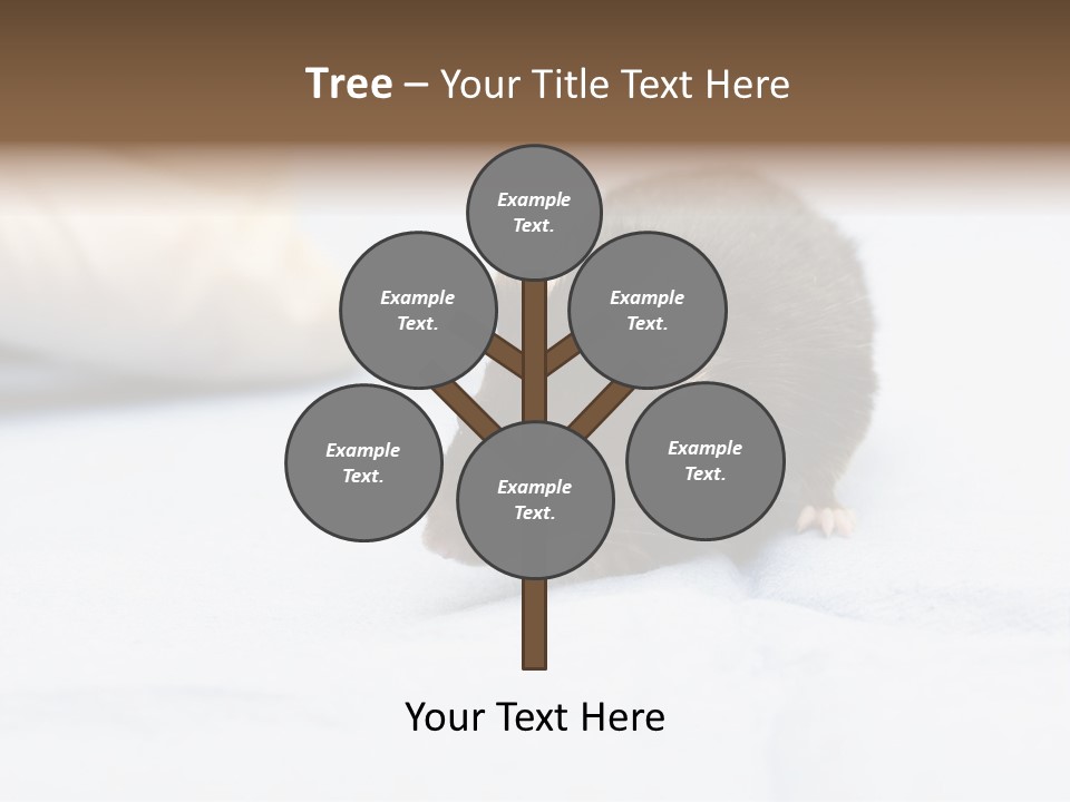 Acoustic Cords Strings PowerPoint Template