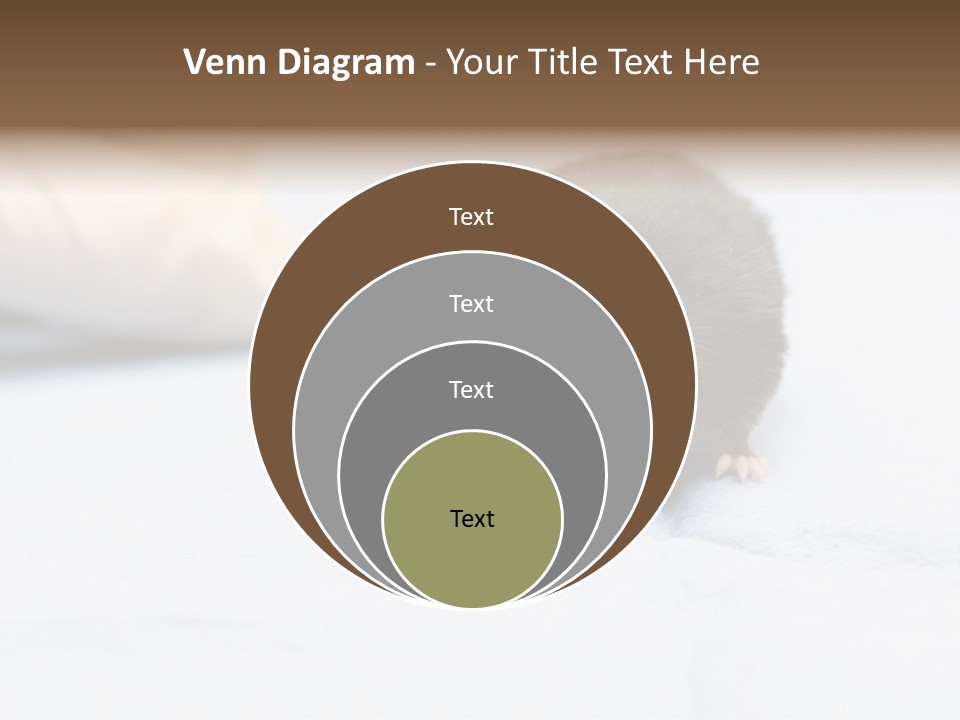 Acoustic Cords Strings PowerPoint Template