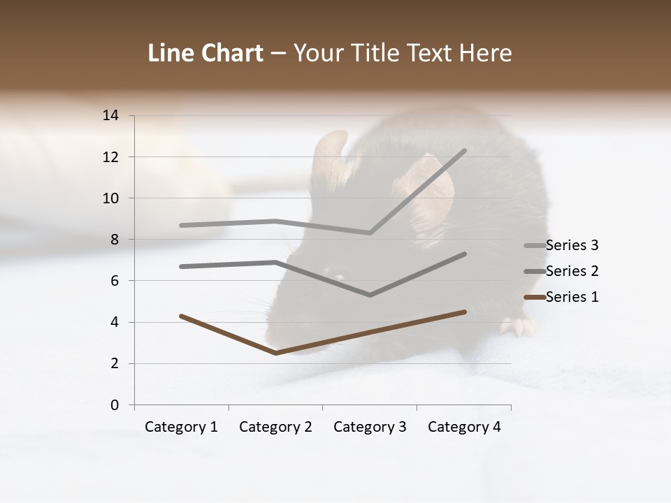 Acoustic Cords Strings PowerPoint Template
