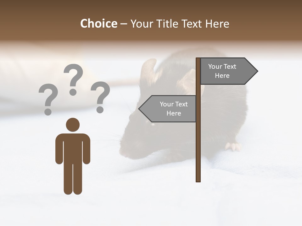 Acoustic Cords Strings PowerPoint Template