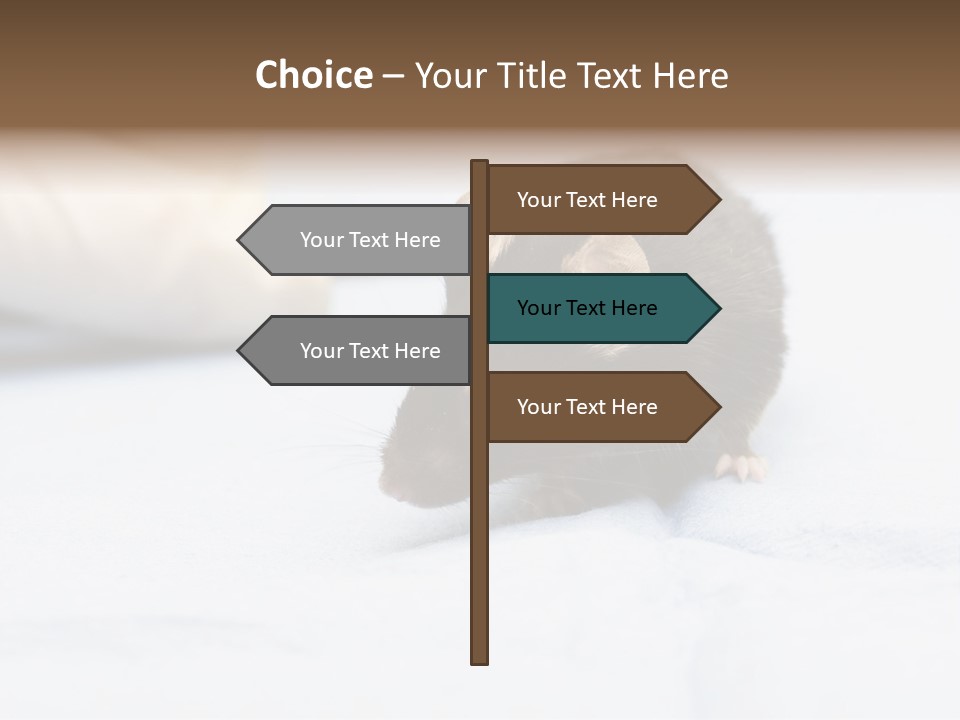 Acoustic Cords Strings PowerPoint Template