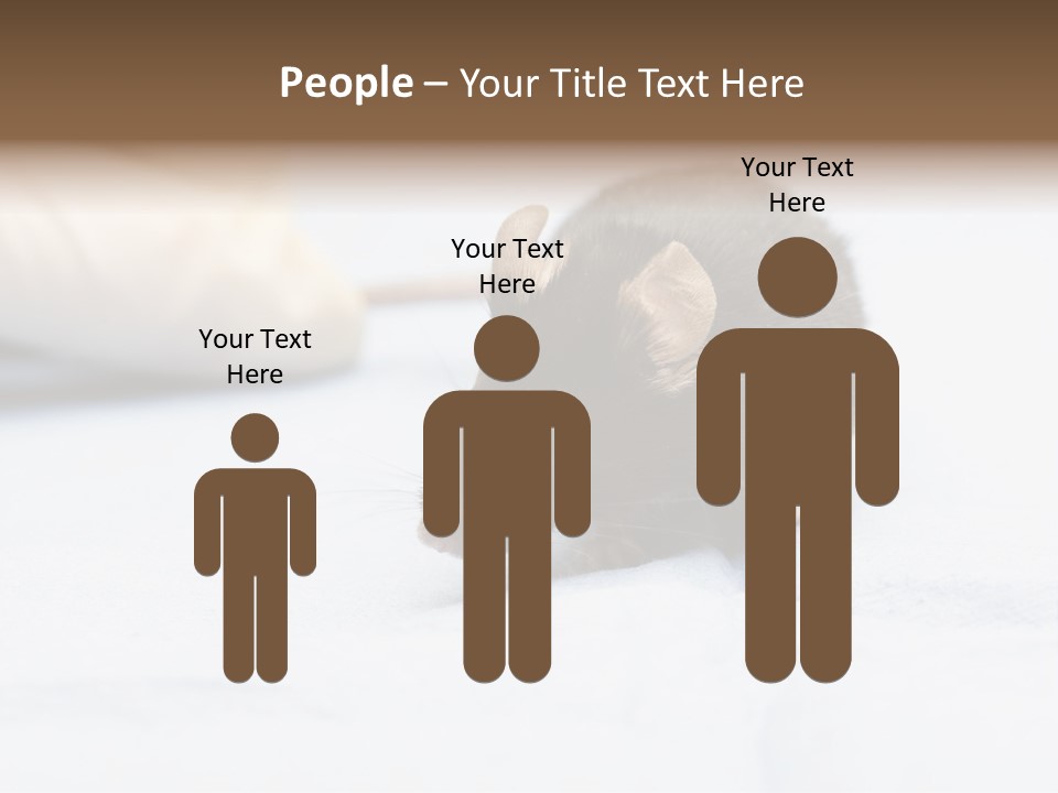 Acoustic Cords Strings PowerPoint Template