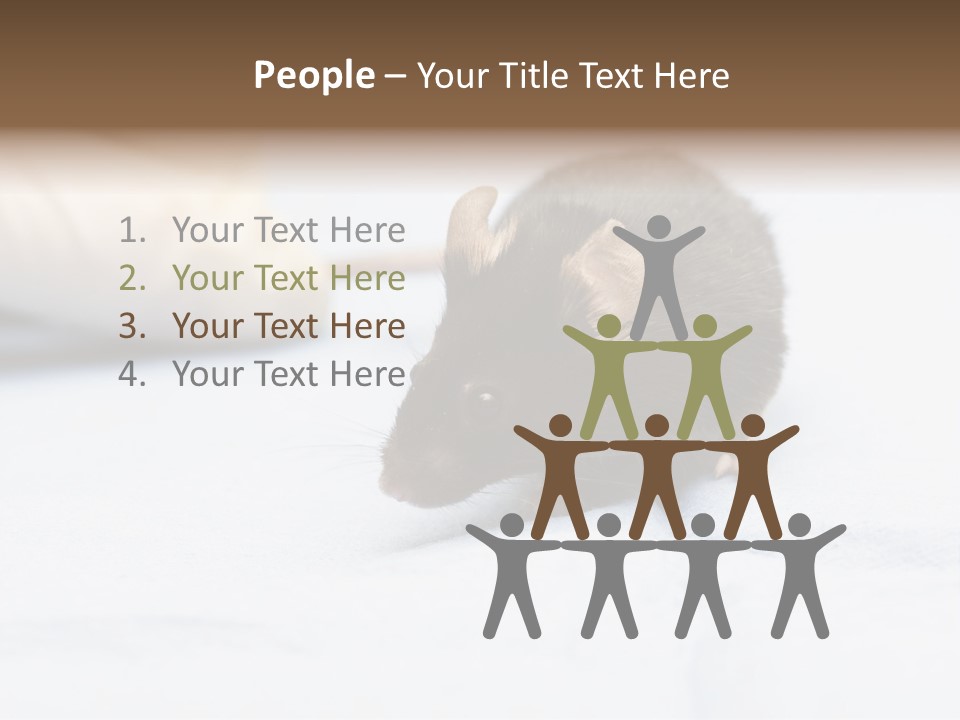 Acoustic Cords Strings PowerPoint Template