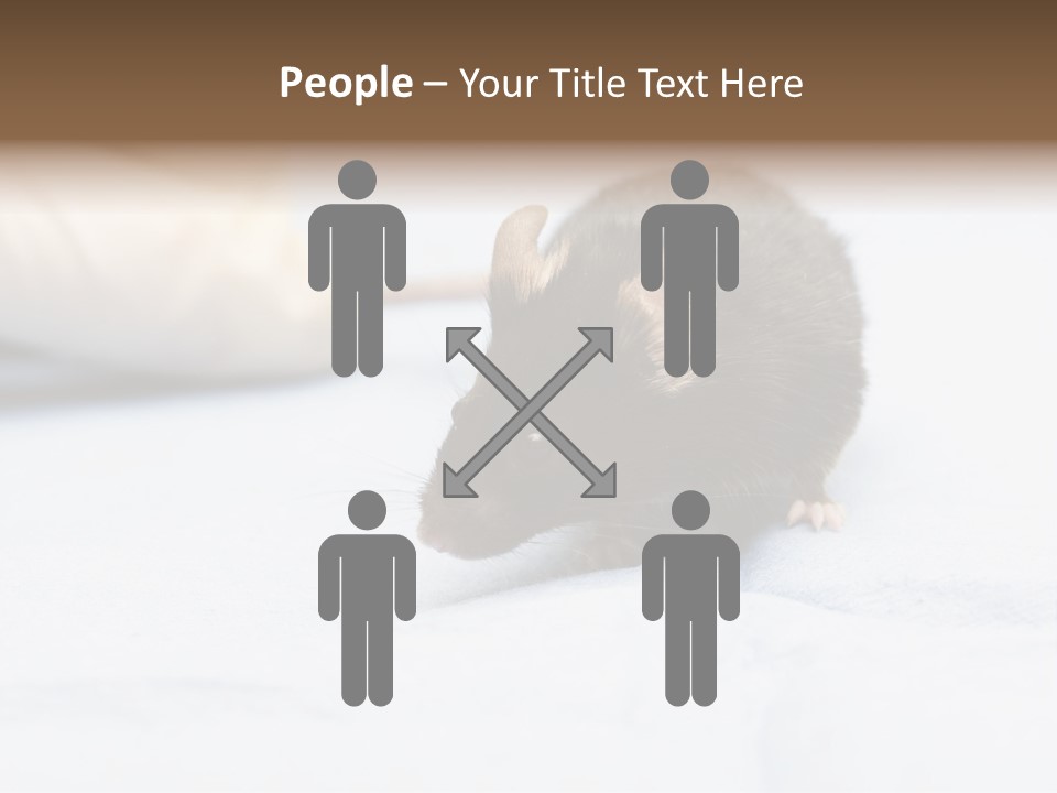 Acoustic Cords Strings PowerPoint Template