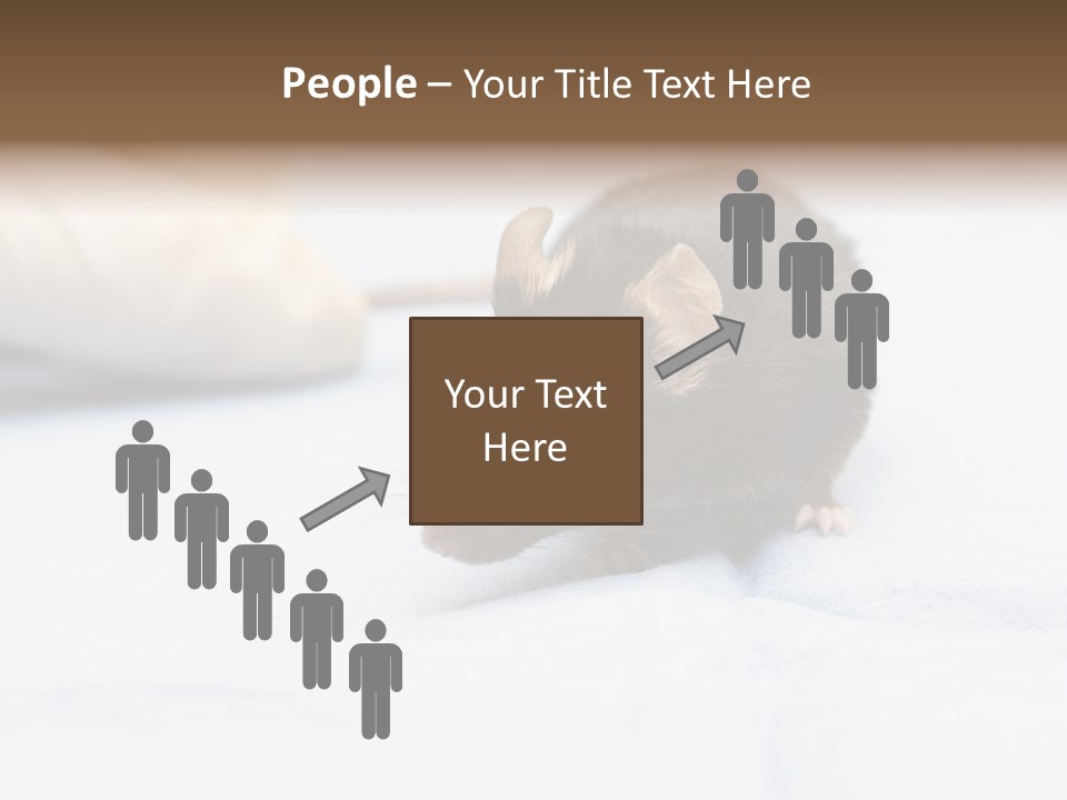 Acoustic Cords Strings PowerPoint Template