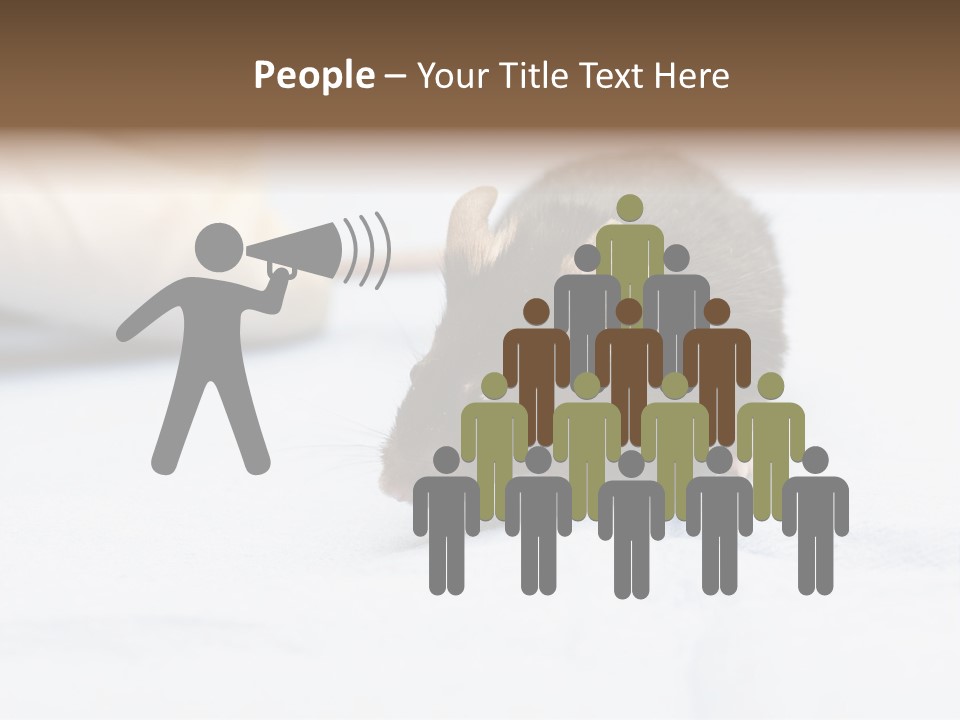 Acoustic Cords Strings PowerPoint Template