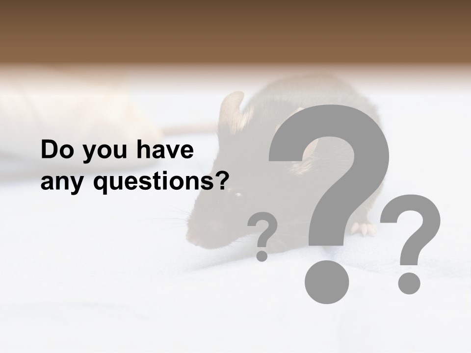 Acoustic Cords Strings PowerPoint Template