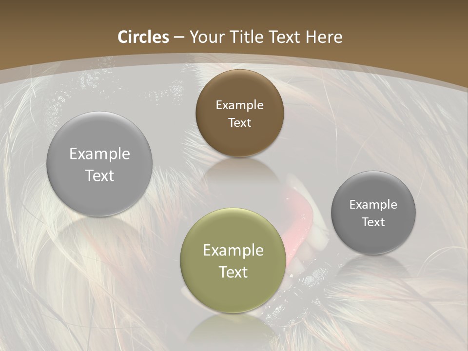 Cut Beast Breed PowerPoint Template