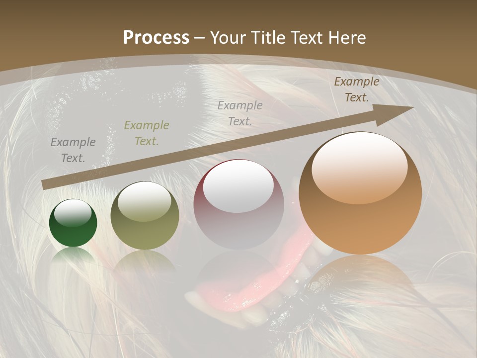 Cut Beast Breed PowerPoint Template