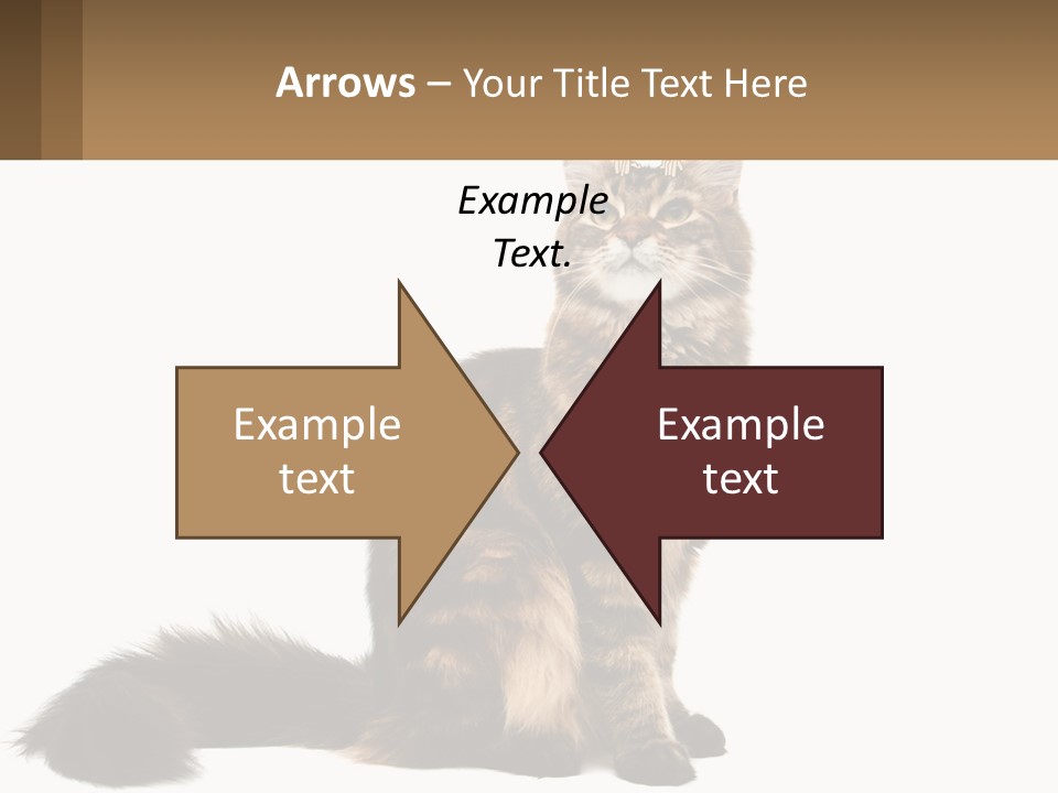 Young One Nature PowerPoint Template