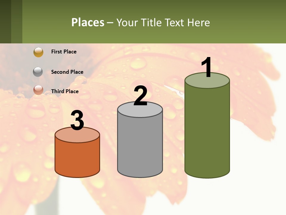 A Yellow Flower With Water Droplets On It PowerPoint Template