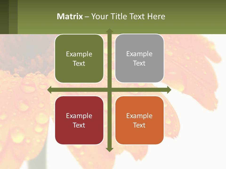 A Yellow Flower With Water Droplets On It PowerPoint Template