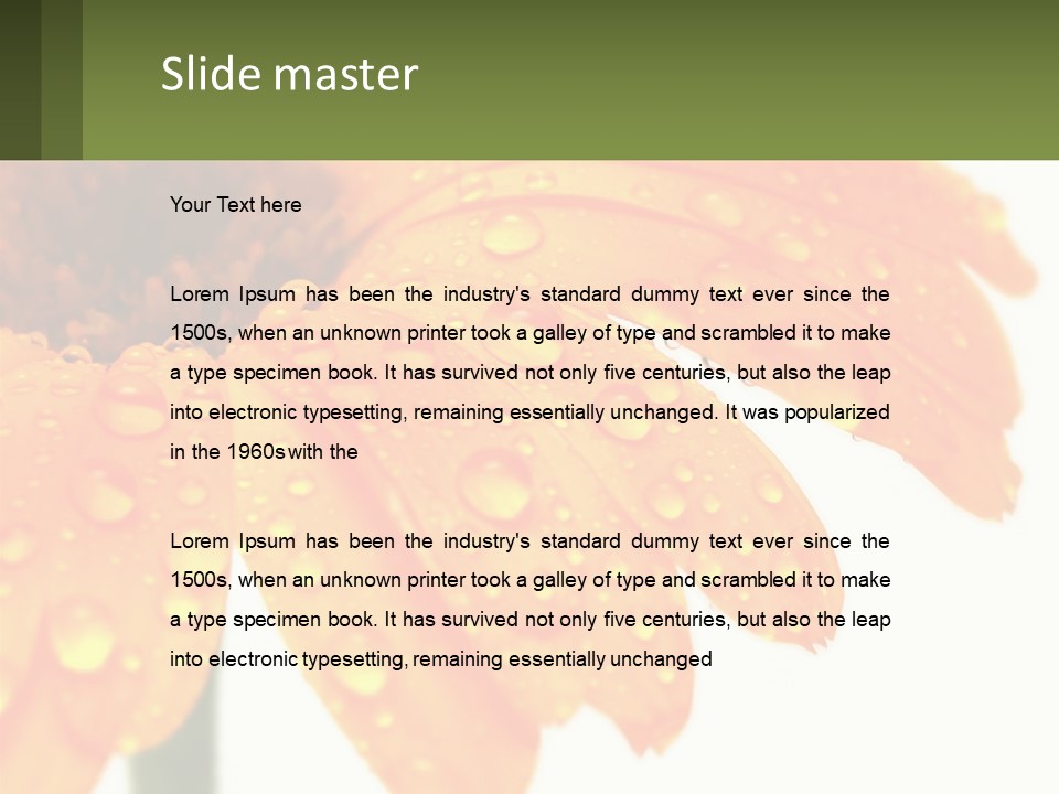 A Yellow Flower With Water Droplets On It PowerPoint Template