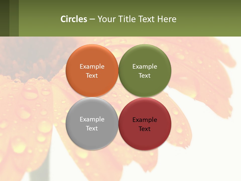 A Yellow Flower With Water Droplets On It PowerPoint Template